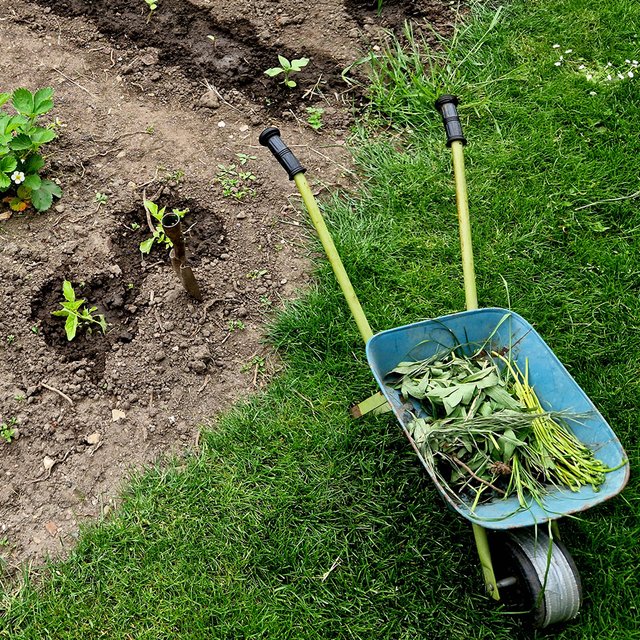 5 идей, как сделать биологию в школе интересной: советует агроном