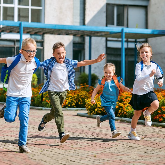 Правда ли учебный год в начальной и средней школе заканчивается 18 мая