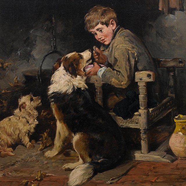 Что делать, если непривитого ребёнка укусила собака?