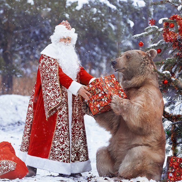 7 фактов про Деда Мороза, которые вы не знали: какое у него отчество, кто его жена, сколько ему лет