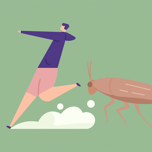 В общежитии техникума жуткие условия, комендант не реагирует: кому жаловаться