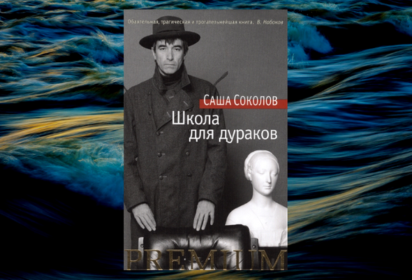 Школа для дураков краткое содержание. : «Школа для дураков», «между собакой и волком», «палисандрия»..