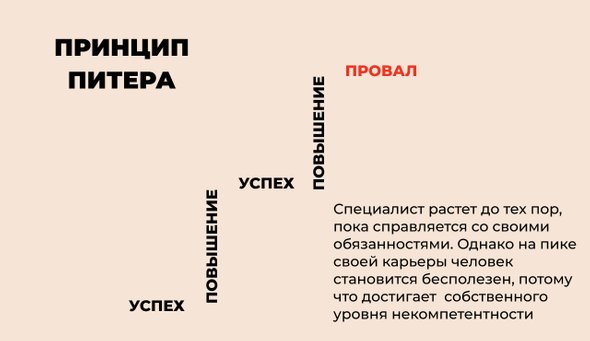 Как работает принцип Питера