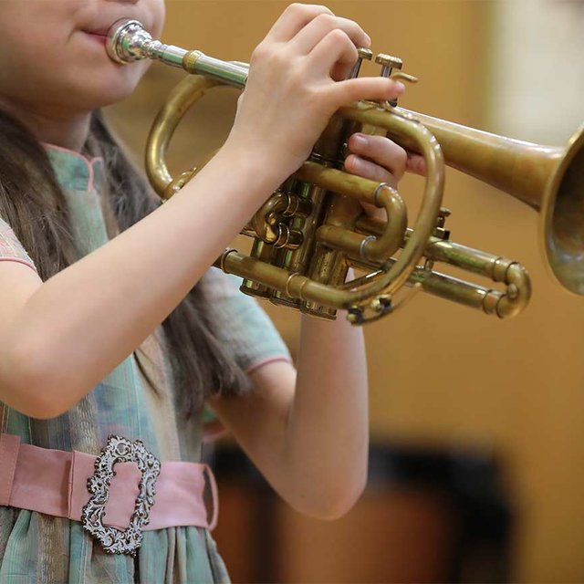 Можно ли не посещать уроки музыки в обычной школе, если учишься в музыкальной?