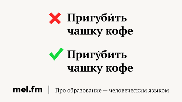 Не жил не жили ударение