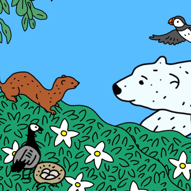 «Какого цвета Арктика?» Найдите всех, кто прячется в снегах, и раскрасьте Север