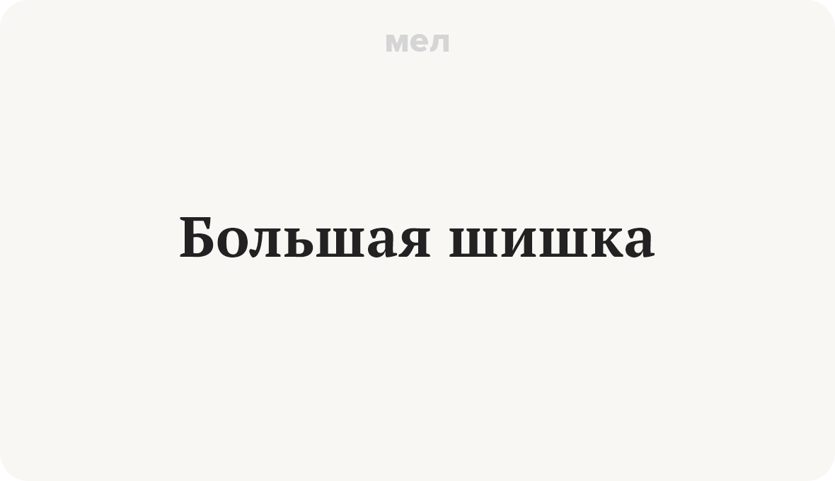 Большая шишка