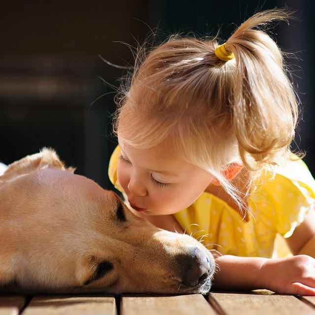 Ребёнок постоянно целует домашнюю собаку: не опасно ли это