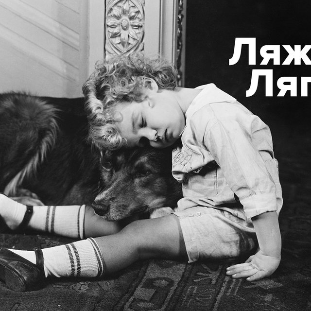 «Слазь», «слезай» или «слазий»? Тест про глаголы в повелительном наклонении