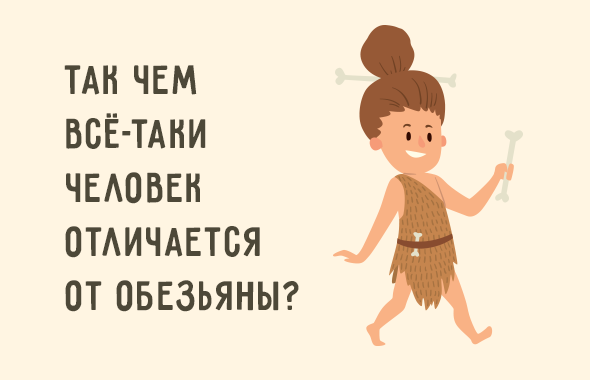 Как появились люди для детей. Смотреть фото Как появились люди для детей. Смотреть картинку Как появились люди для детей. Картинка про Как появились люди для детей. Фото Как появились люди для детей