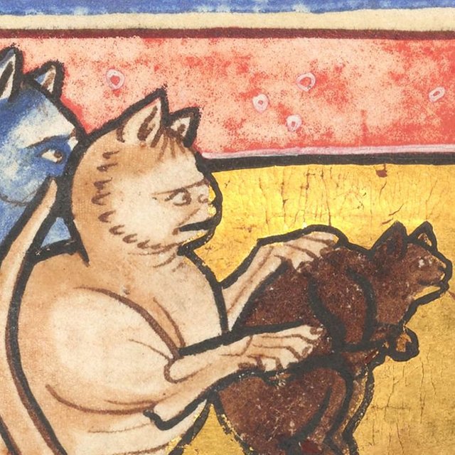 Это котик или крыса? Тест: отгадайте животное по средневековому изображению