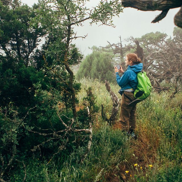 «Ловила пиявок ситечком в Чертановском пруду». Студентка биофака — о том, как проходят их практики