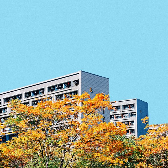 10 советов, которые помогут выжить в общаге: проверено студентами