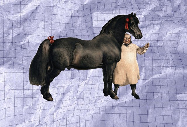 Кто такой «жлоб» и откуда взялось это слово