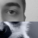 Фото пользователя