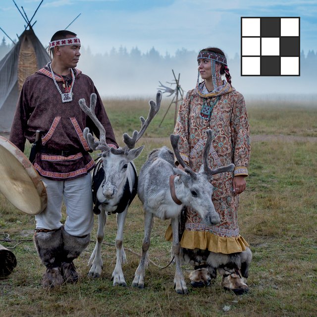 Что едят олени? Кроссворд про Север и его реалии