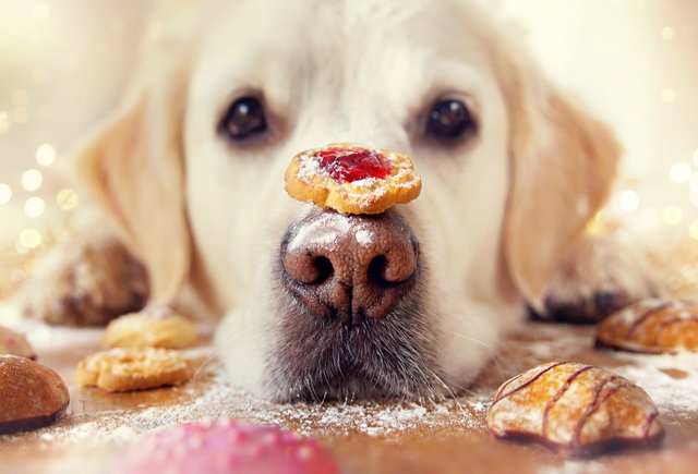 Как правильно: «исчéрпать терпение» или «исчерпáть»