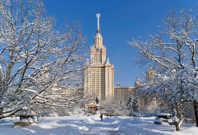 Почему в школе так много контрольных и как поступить в МГУ с низкими баллами