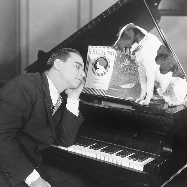 Как запахи и музыка помогают тренировать память и учиться прямо во сне