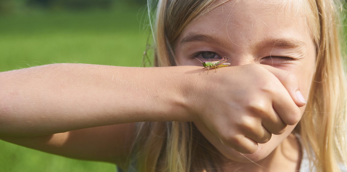 «Забывать то, чему нас учили, полезно». Нужно ли детям заниматься учёбой летом