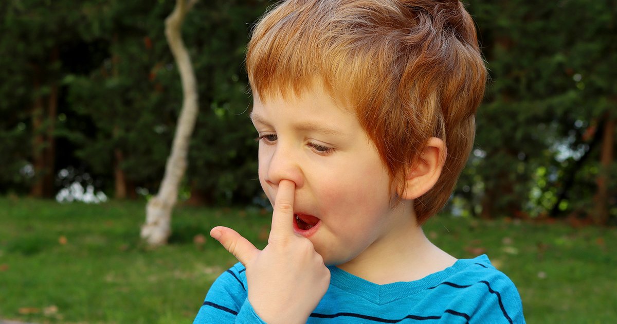 Как отучить ребёнка ковырять в носу и поедать его содержимое? Инструкция для родителей