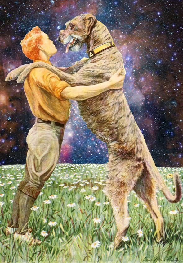 Как меняется жизнь человека, который заводит собаку, 9 вещей, которые нужно учесть перед тем, как завести собаку