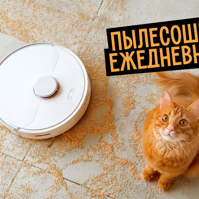 «Пылесошу» или «пылесосю»: как говорить правильно