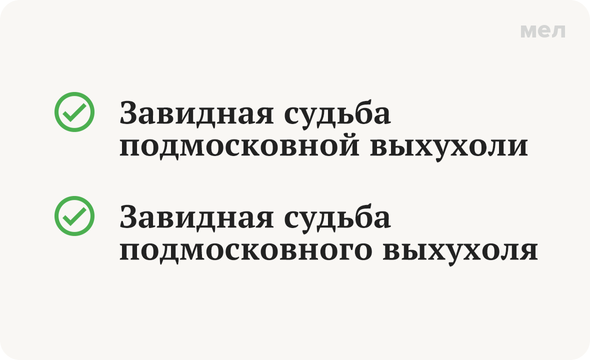 «Выхухоля» или «выхухоли»: какого рода слово «выхухоль» и как склонять его правильно