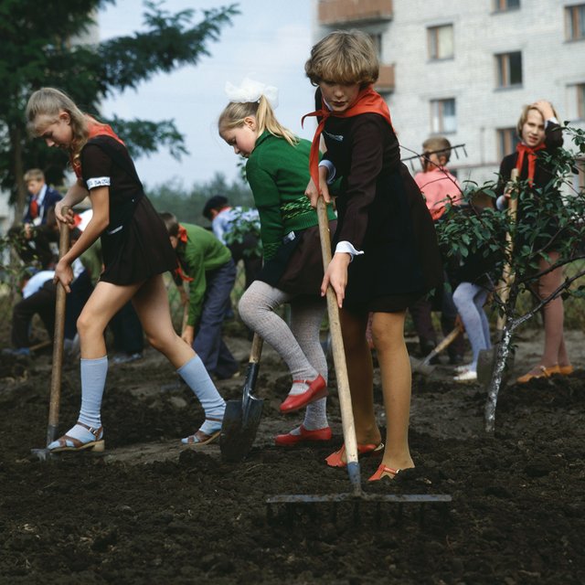 «Слезы капали прямо в клей». 6 историй о летней практике в школах – от 1960-х до наших дней