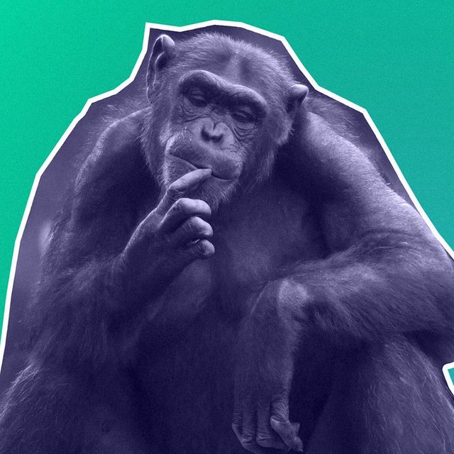 Это проходят в «10-м классе» или «в 10-oм»: как писать правильно