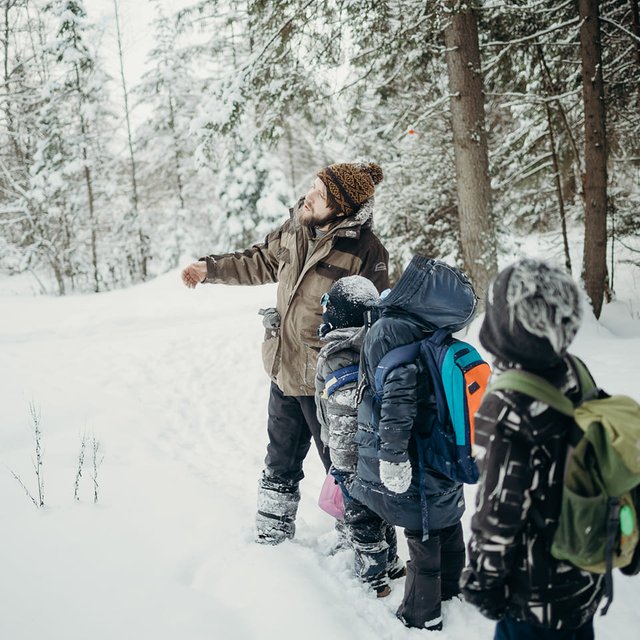 «Учимся в доме прямо рядом с лесом». Как придумать для детей свою школу и влюбить их в природу