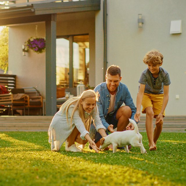 Снять дачу в Подмосковье и других областях: сколько это стоит и что иметь в виду семьям с детьми