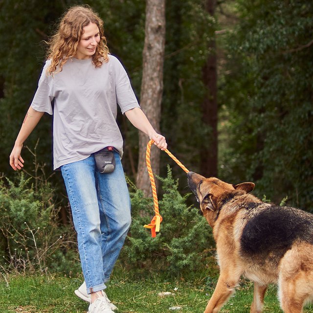 Что не так с ветеринарным образованием в России и как научиться работать с собаками — опыт и мнение кинолога с 10-летним стажем