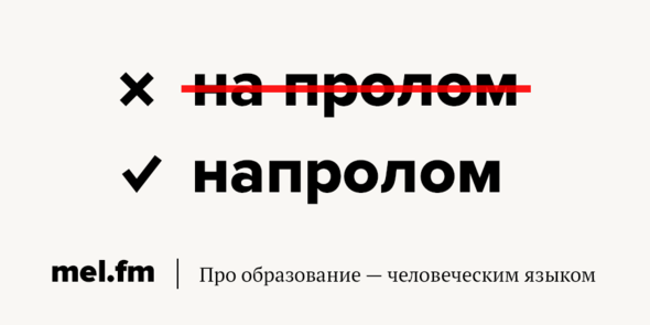 Как правильно пишется привести или привезти