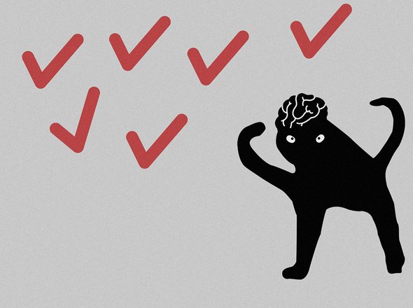 Насколько вы умный человек? 5 тестов «Мела», которые это проверят