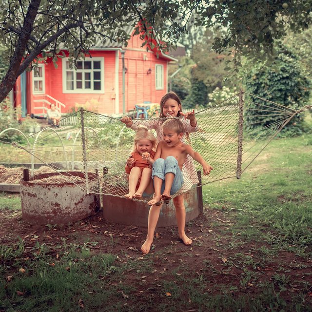 Чем накормить случайного ёжика и стоит ли кормить кошку шашлыком? Тест для тех, кто уже на даче