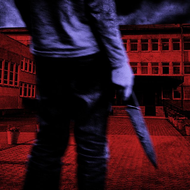 Волна нападений на школы: почему это делают дети и как взрослые планируют решать проблему