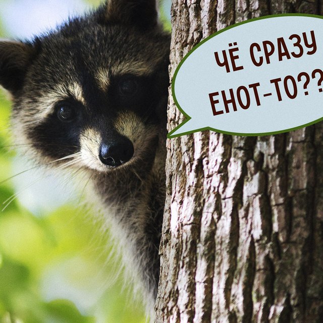 «Полоскает» или «полощет»: как говорить правильно