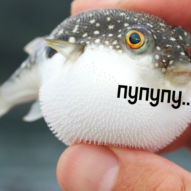 Что значит «пупупу» — возможное слово года по версии портала «Грамота.ру»