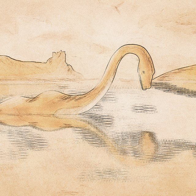 Кто такой (и что такое) лох? Некоторые значения слова вас удивят