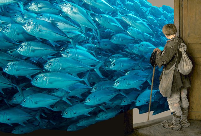 В классе 39 человек, им тесно! Куда можно пожаловаться?