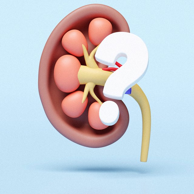 Что такое кортизол, почему про него пишут все блогеры и правда ли надо его снижать