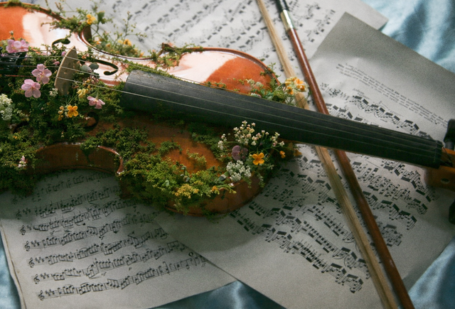 Обложка Куда сходить с детьми в Петербурге: 5 мест с живой музыкой