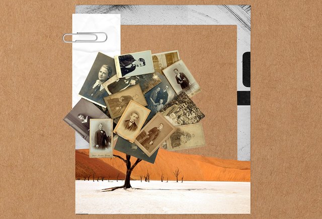 «Люди ищут людей — среди живых и мертвых». Почему генеалогия стала популярной и как устроены поиски родни