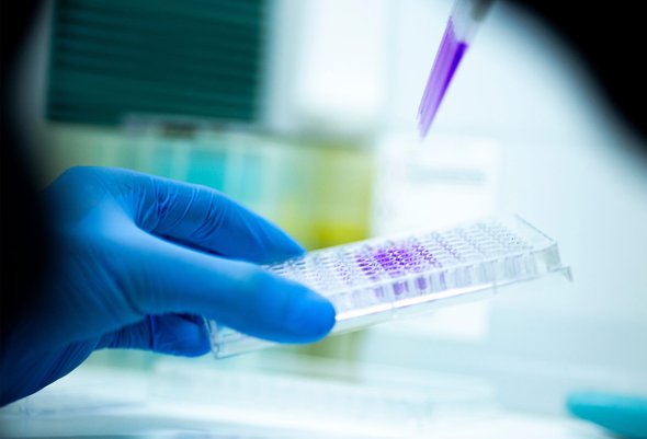 ДНК_тест, ДНК-тестирование, лаборатория, ДНК