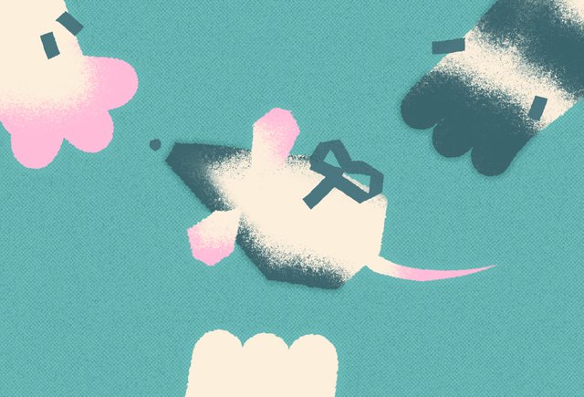 Сын хочет забрать домой уличных котят. На одного котенка я согласна, но что делать с остальными?