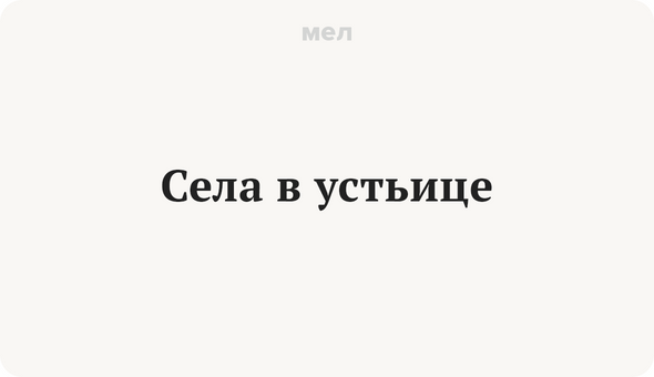 Села в устьице