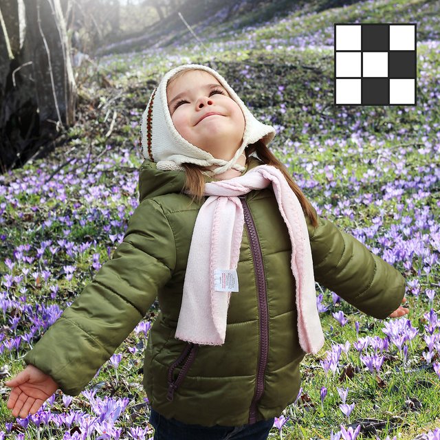 Травка зеленеет, а солнышко что делает? Самый свежий кроссворд про весну