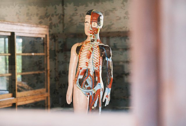 Педагогическое насилие в медицинских вузах: что это такое и как его остановить