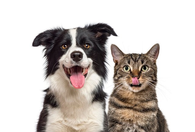 пресс-релизы